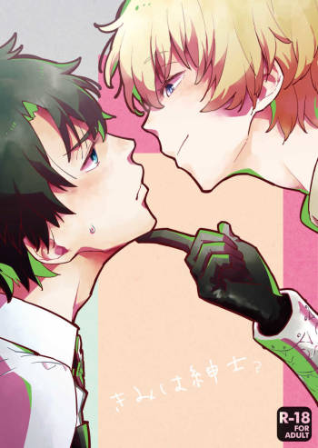 Kimi wa Shinshi? cover