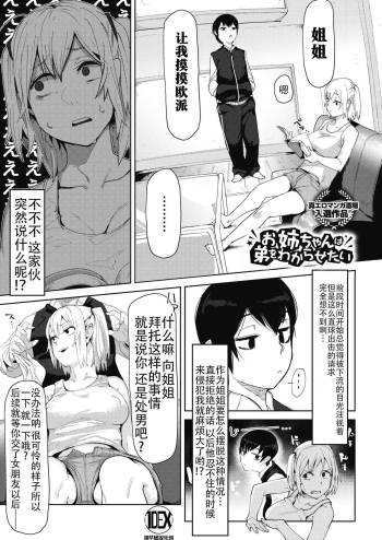 Onee-chan wa Otouto o Wakarasetai cover