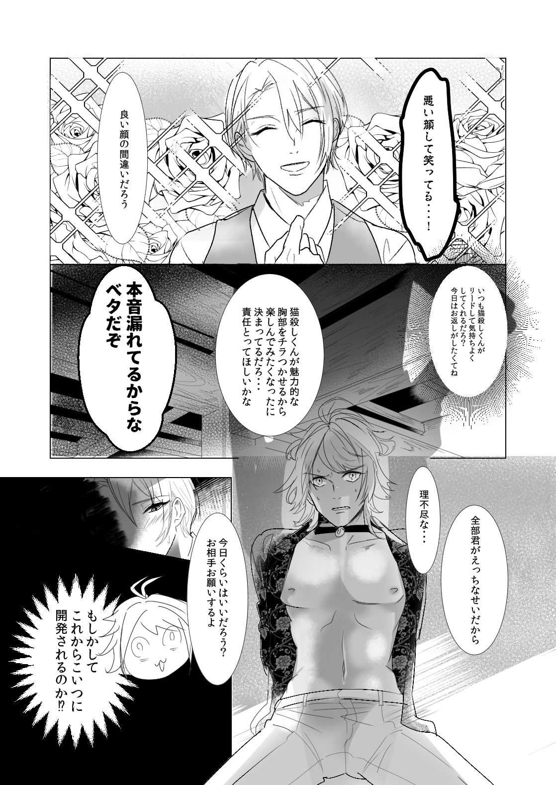 NPP page 5 full