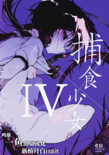 Hoshoku Shoujo IV cover