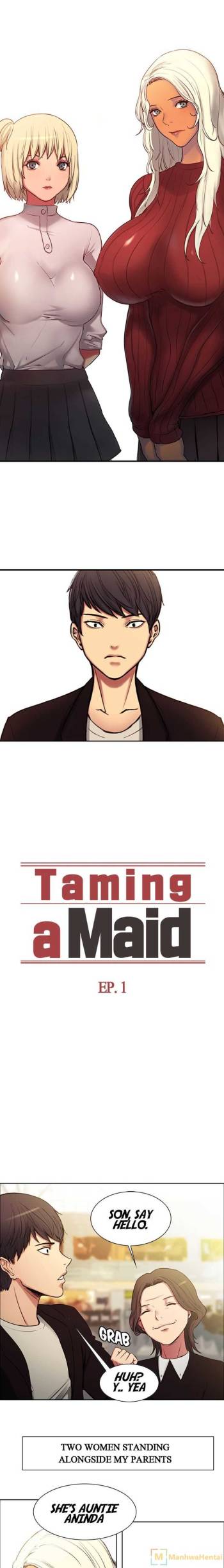 Taming a Maid/Domesticate the Housekeeper cover