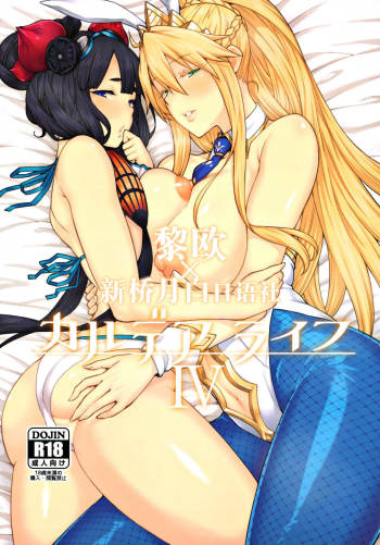 Chaldea Life IV cover