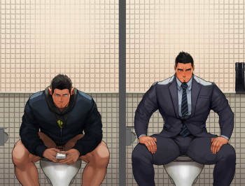 Toilet cover