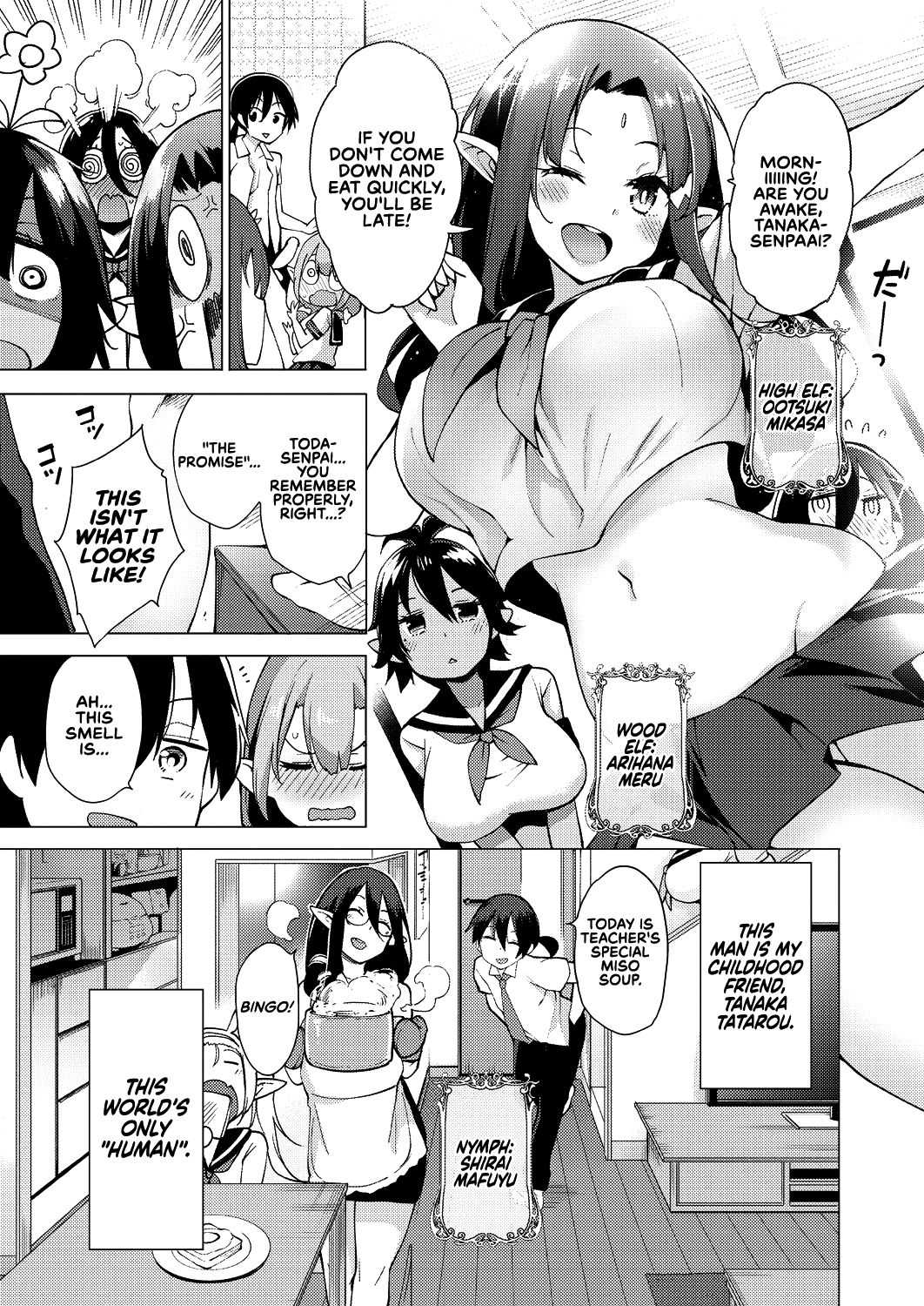 Yousei Harem Daibakuhatsu | Fairy Harem Explosion Ch. 1 page 4 full