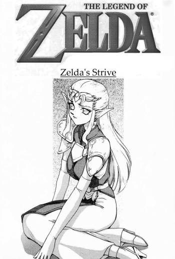 Legend of Zelda; Zelda's Strive cover
