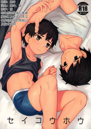 Seikouhou cover