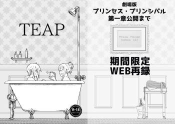 TEAP cover