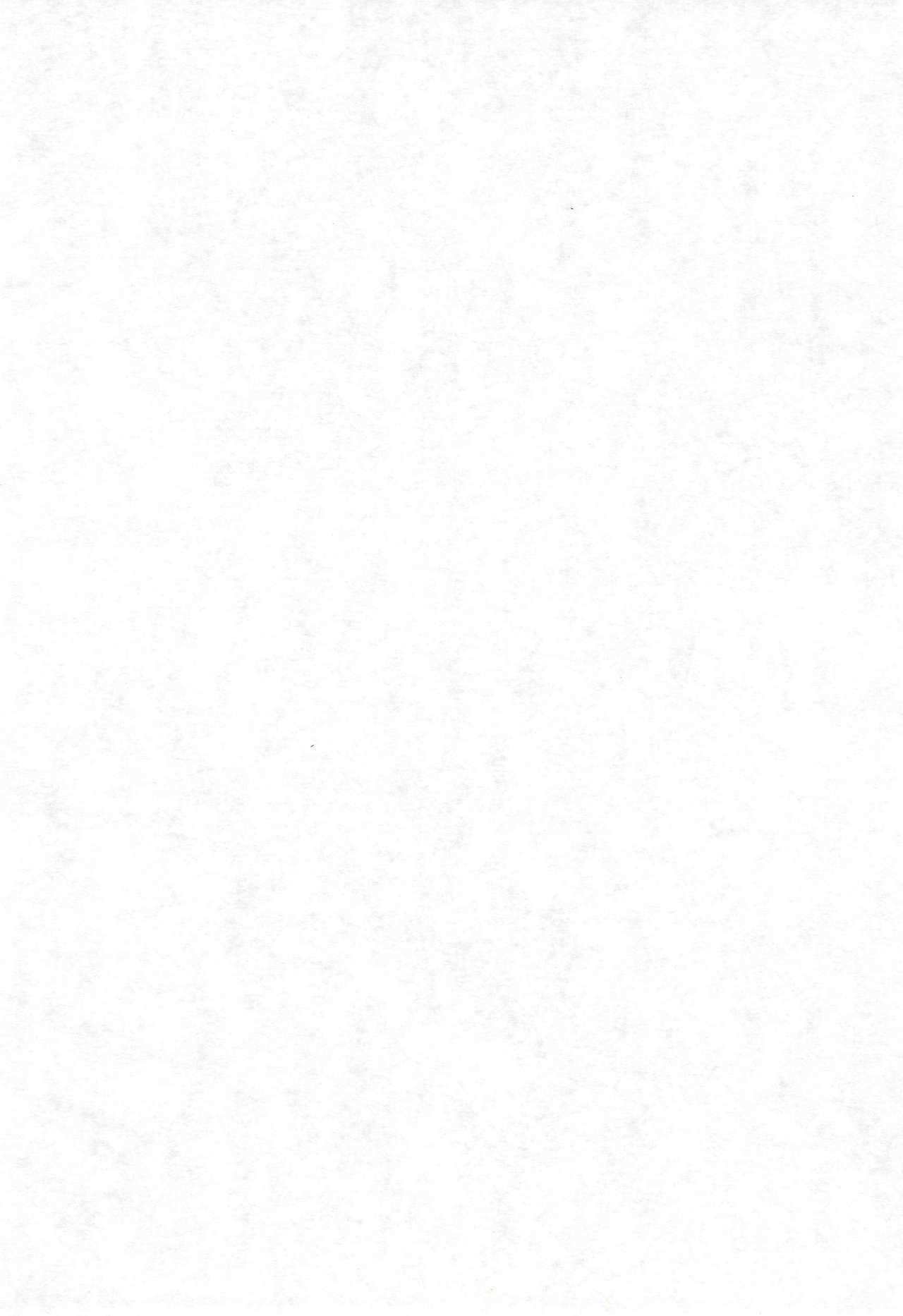 COTTON TIME.2 page 4 full