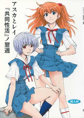Asuka to Rei "Kyoudou Seikatsu" no Yokushuu cover