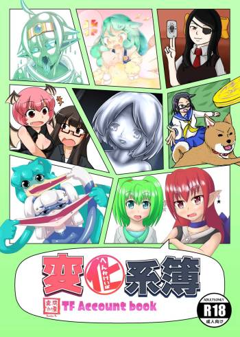 Henka-kei-bo TF Account book cover