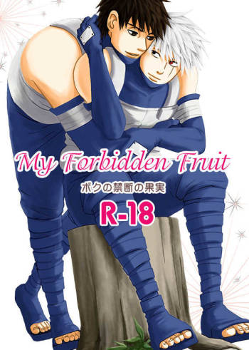 My Forbidden Fruit cover