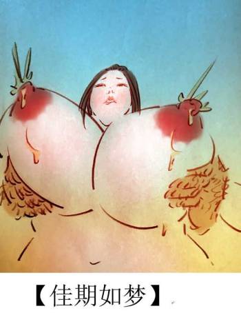 佳期如梦 cover