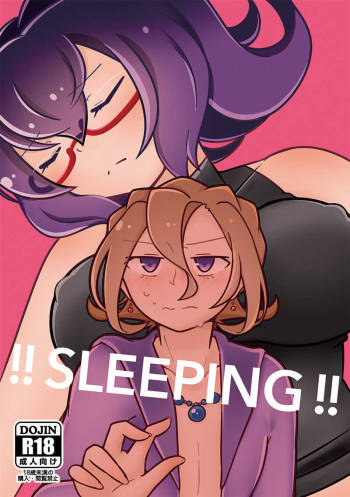 !!SLEEPING!! cover