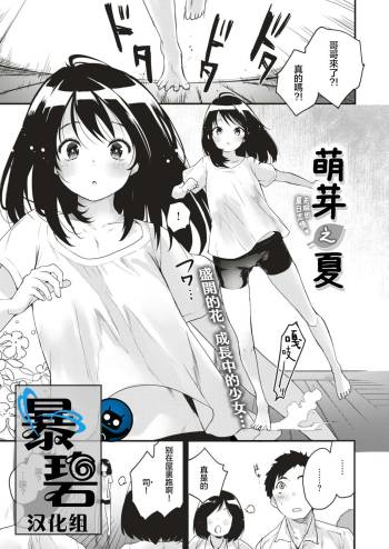 Mebae no Natsu | 萌芽之夏 cover