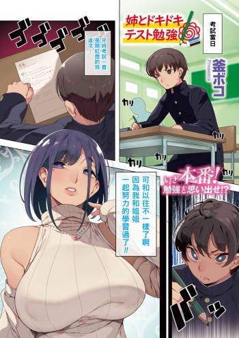 姉とドキドキテスト勉強（Chinese） cover
