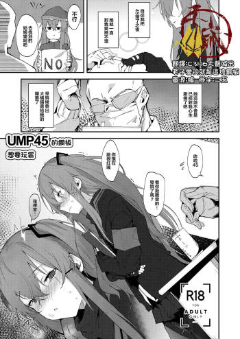 UMP45 no Chippai ga Mitakunaru Hon | UMP45的鋼板想要玩賞 cover