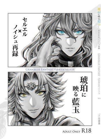 Kohaku ni Utsuru Aidama Seruel x Naoise Sairoku cover