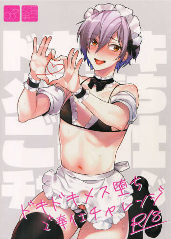 Dokidoki Mesu Ochi Gohoushi Challenge cover