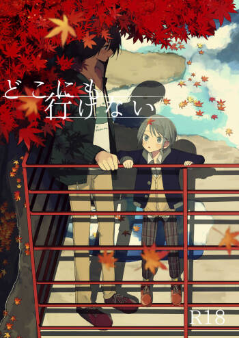 Doko ni mo Ikenai cover