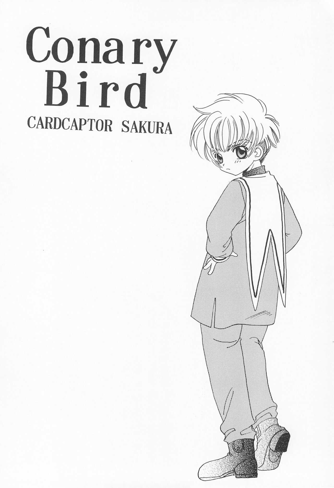ROSDE CONARY BIRD  -Canary Bird- page 4 full