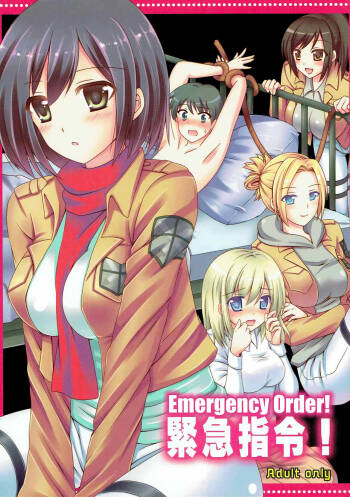 Kinkyuu Shirei! | Emergency Order! cover