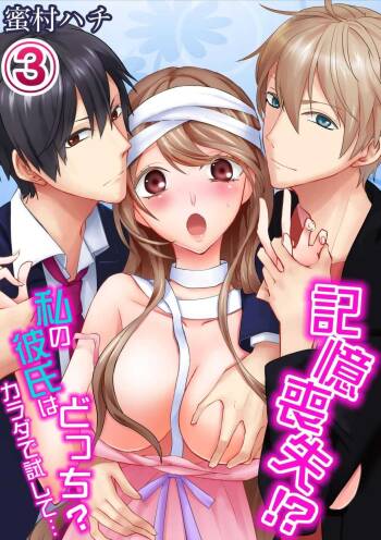 記憶喪失！？私の彼氏はどっち？カラダで試して・・・ 3巻 cover