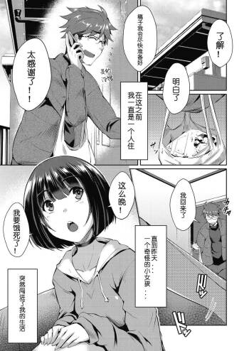 Shion no Hana   Flowers for Shion cover