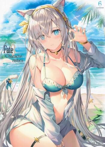 Fate Characteristic 6 cover