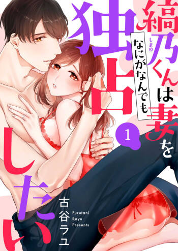 縞乃くんは妻をなにがなんでも独占したい 第1-4話 cover