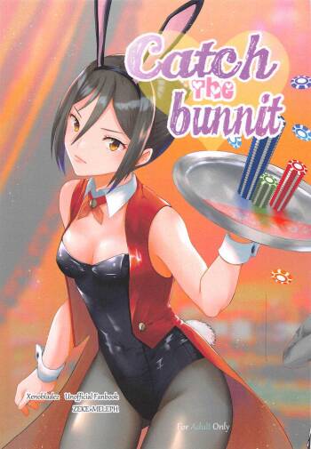 Catch the bunnit cover