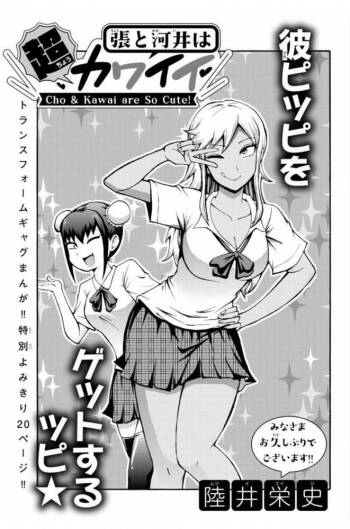 張と河井は超カワイイ cover