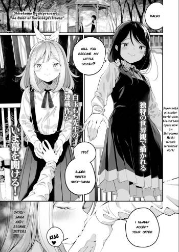 Sarasouju no Hana no Iro | The color of Sarasouju‘s flower cover