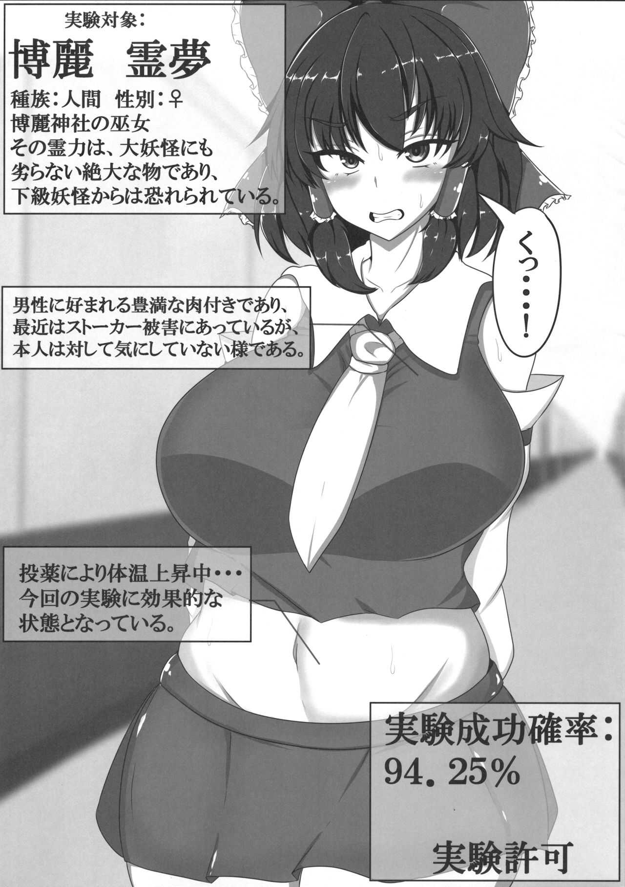 東方婚姻録～博麗霊夢編～ page 2 full