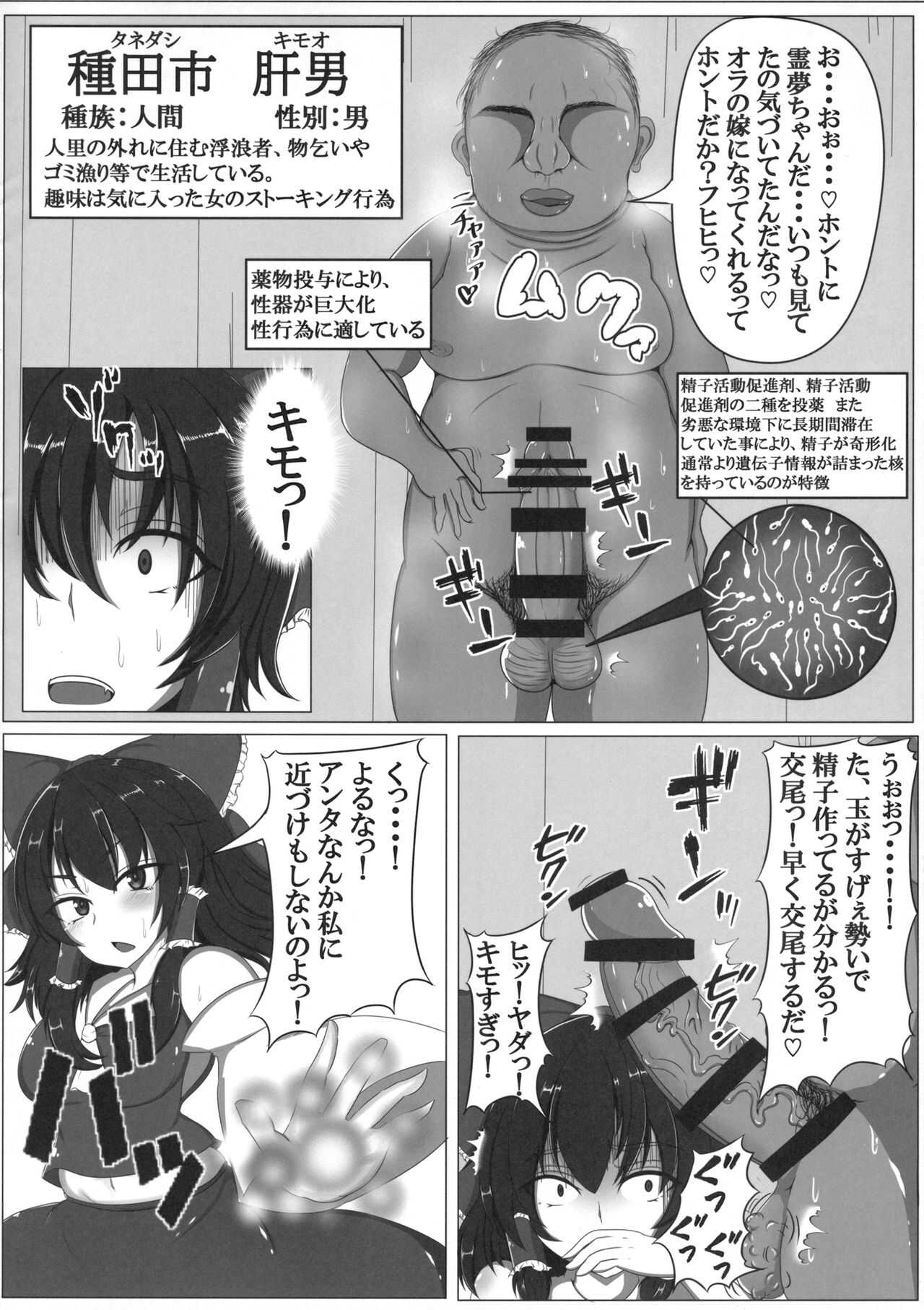 東方婚姻録～博麗霊夢編～ page 5 full