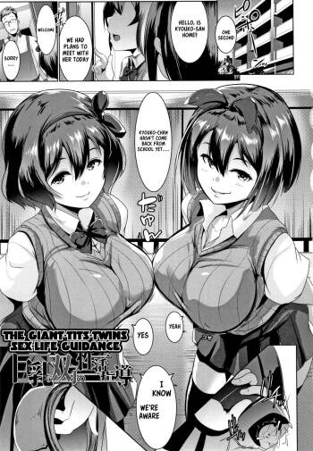 Dekiai Koubi | Blind Love Mating P3 cover