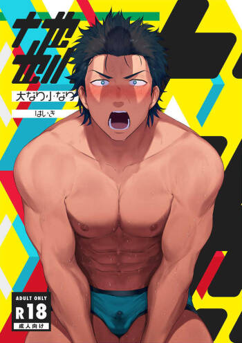Dainari Shounari cover