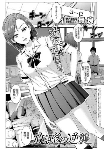 Houkago no gyakusyu cover