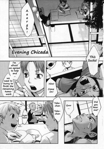 Evening Chicada cover
