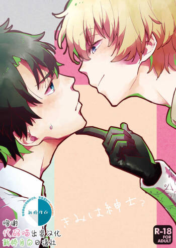 Kimi wa Shinshi? cover