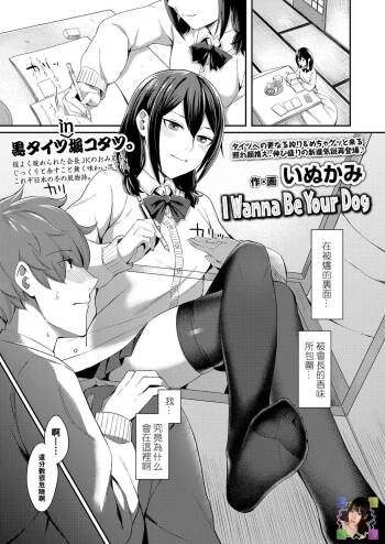 I Wanna Be Your Dog（Chinese） cover