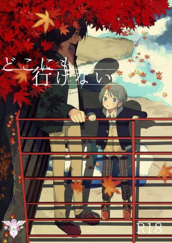 Doko ni mo Ikenai cover