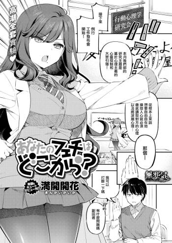 Anata no Feti wa Doko kara? cover