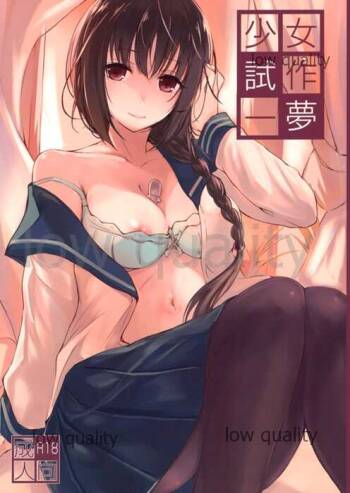 少女試作一夢 cover