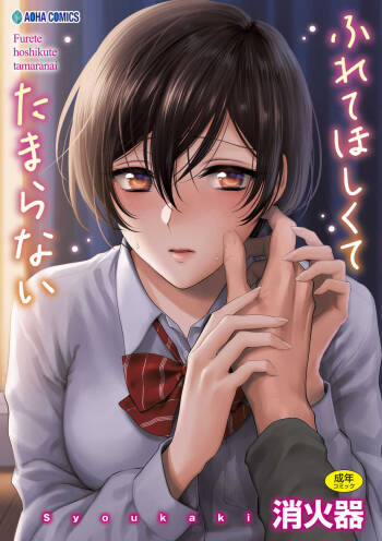 Furete Hoshikute Tamaranai cover