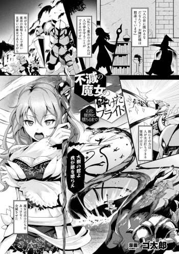Fumetsu no Majo no Kudaketa Pride  -Sekka Benjo ni Ochiru made- cover