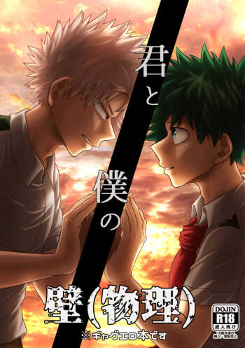 君と僕の壁 cover