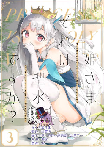 Hime-sama Sore wa Seisui desu ka? 3 cover