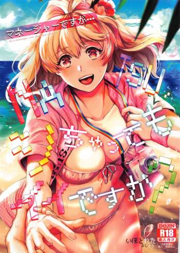 Manager desu ka... NATSU Shichatte mo Ii desu ka? cover