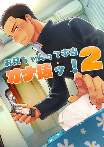 Onii-chan tte Hontou Ona Saru! 2 cover