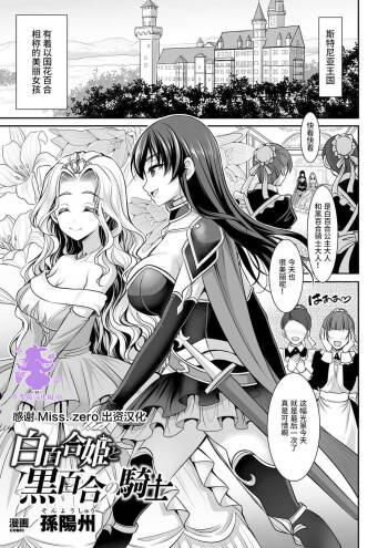 Shirayui-hime to Kuroyuri no Kishi cover